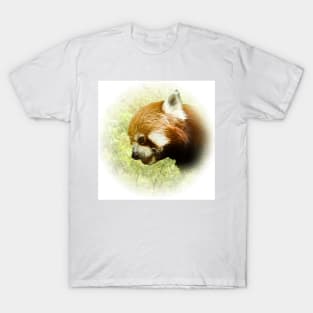 Red panda T-Shirt